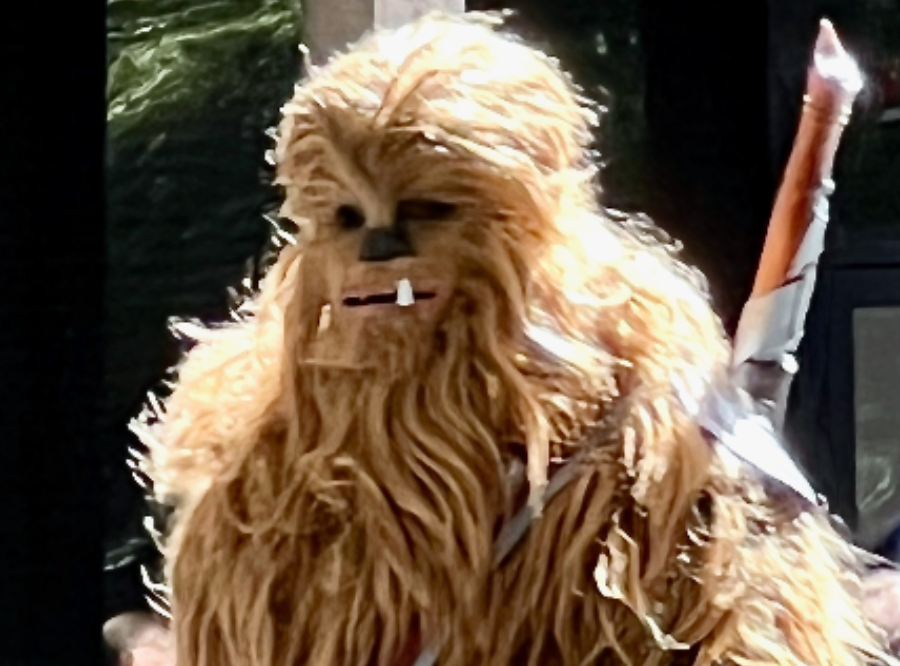 Chewy at DragonCon Image